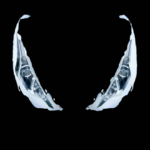 C-HR VENOM~3.png