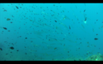 IMG_7488.PNG
