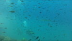 IMG_7632.PNG
