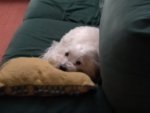 IMG-20181105-WA0006.jpg