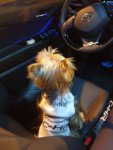 IMG-20190317-WA0010.jpg