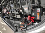 IMG_7339[1].jpg