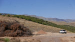 PSX_20200828_130437.jpg