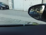 IMG_20201209_084849.jpg
