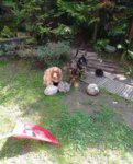 IMG_20210804_190745_487.jpg