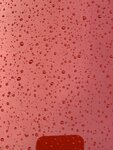 D7578393-AA10-46D5-B64A-BD85C441E6D8.jpeg