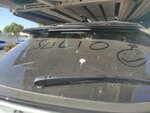 IMG_20220604_092036.jpg