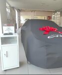 IMG_20220610_193259.jpg