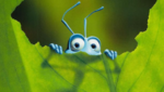 1714823283335.png