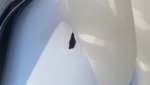 IMG-20171120-WA0013.jpeg