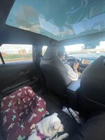 IMG_6637.jpeg
