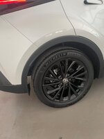 IMG_6549.jpeg