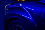 In The  Night-2.jpg