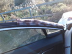 20180222_183445.jpg