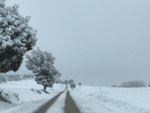IMG-20180317-WA0070.jpg