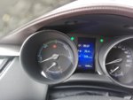 IMG_20180423_165059.jpg
