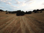 DJI_0068.JPG