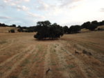 DJI_0069.JPG
