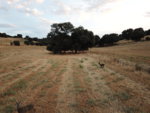 DJI_0070.JPG