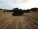 DJI_0071.JPG