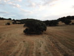 DJI_0072.JPG