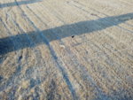 DJI_0075.JPG