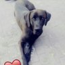 Pepi